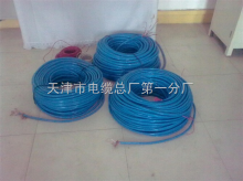 DJFPF耐高温计算机电缆DJFPF 【销售】-产品报价-天津市电缆总厂第一分厂