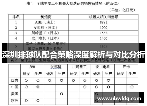 深圳排球队配合策略深度解析与对比分析