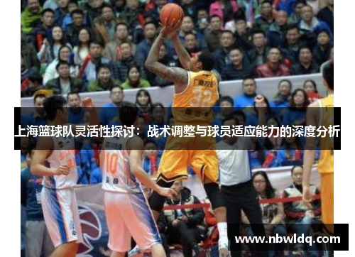 上海篮球队灵活性探讨：战术调整与球员适应能力的深度分析