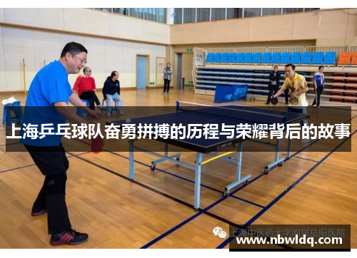 上海乒乓球队奋勇拼搏的历程与荣耀背后的故事