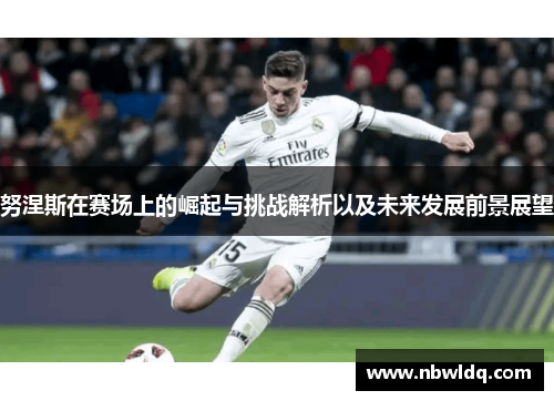 努涅斯在赛场上的崛起与挑战解析以及未来发展前景展望